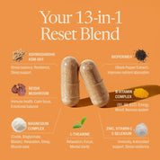 Dietary supplement capsules with ashwagandha, reishi mushroom, magnesium, L-theanine, B vitamins, and zinc on an orange background.”